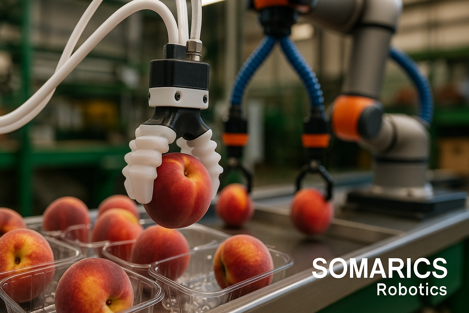 Automating the Unstructured: How Soft Robotics is Transforming Fresh Food Packaging!